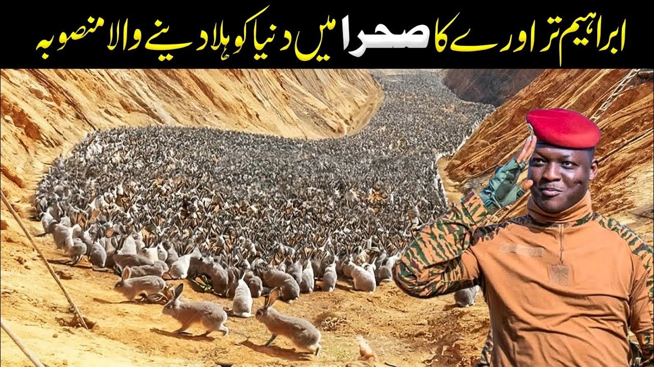 Why Did Ibrahim Traore Release a Million Rabbits in the Desert? The Shocking Truth