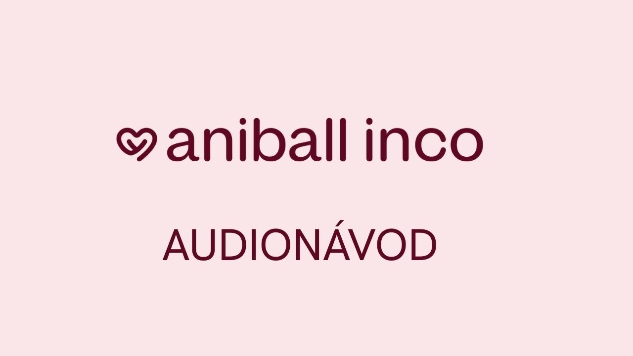 Aniball INCO - audionávod - YouTube