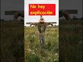 No le encuentro explicación. #cuento #misterio #campo #historiadecampo #tecnologíaextraña