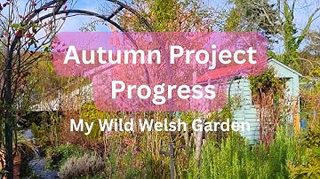 Pruning Trees - and what shall I do with all these branches?