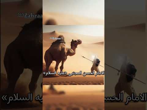 ١٠جمادى الاولى الامام الحسن عليه السلام عقر جمل عائشة لعنها الله