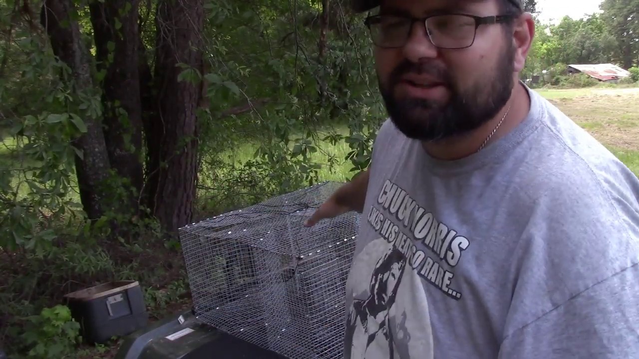 Bait Trap In Action Catching Bait Fish YouTube