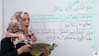 استاذة ولادي -السنة الثالثة- لغة عربية الرسام الماهر