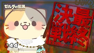 【ブレワイ】#44 最終決戦！？剣をいただきにまいる！ 🍣いい旅・ぬい気分【ゼルダの伝説BotW/むぅたま VTuber】