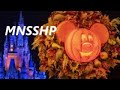 Magic Kingdom MNSSHP - Party night