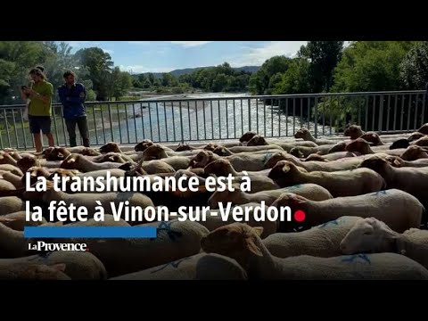 La transhumance est à la fête à Vinon-sur-Verdon