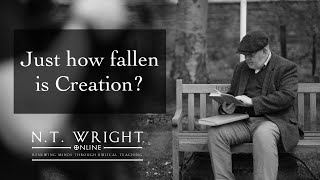 Just How Fallen Is Creation? | Thinking Through Salvation | Episode 6