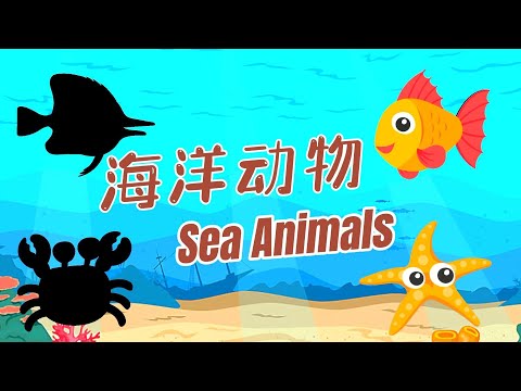 学中文【海洋动物】|Sea Animal names in Chinese|8种常见海洋动物|中文加油站2022