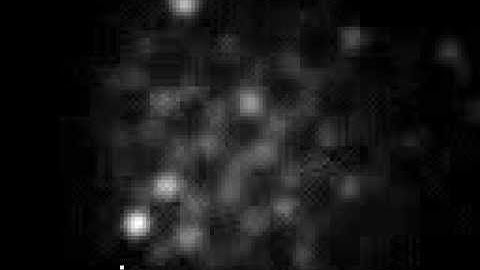 nanosphere lithography SERS/Raman Imaging