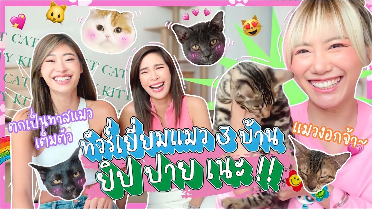 ไหนเล่าซิ๊ l Vlog 115 ทาสแมวต้องดู เปิดตัวน้องแมวที่พี่ๆเลี้ยงไว้ 🐈✨