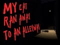 My cat ran away to an alleyway