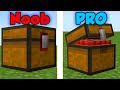 Minecraft NOOB vs PRO: TRAPS!