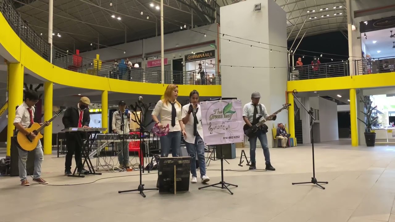 TITANIUM - cover by Anna Lee 