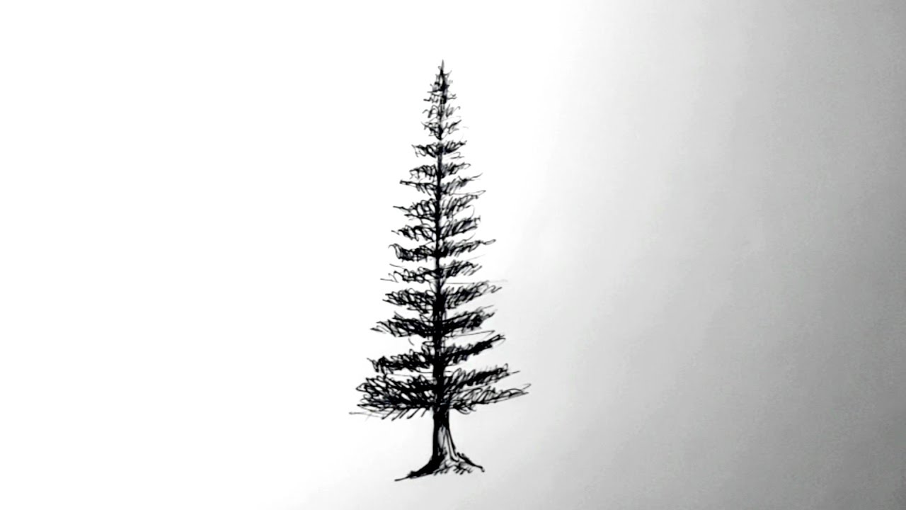 How To Draw Pine Trees  John Anderson  Skillshare