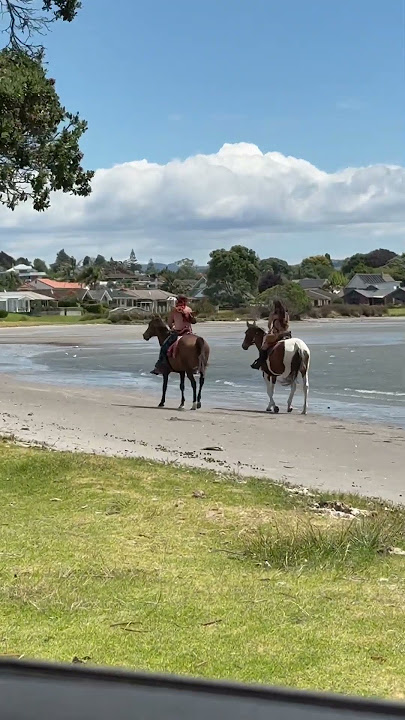 Otūmoetai Beach nz #travel #music #automobile #laser #fireworks #lightshow #dj