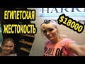 ЕГИПЕТ: 18000 ДОЛЛАРОВ/ ПОЧЕМУ Я НЕ УЕХАЛА /ЕГИПЕТСКАЯ ЖЕСТОКОСТЬ (рус.  субтитры)