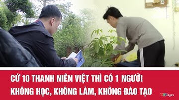 Cứ 10 thanh niên Việt thì có 1 người không học, không làm, không đào tạo | VTV24