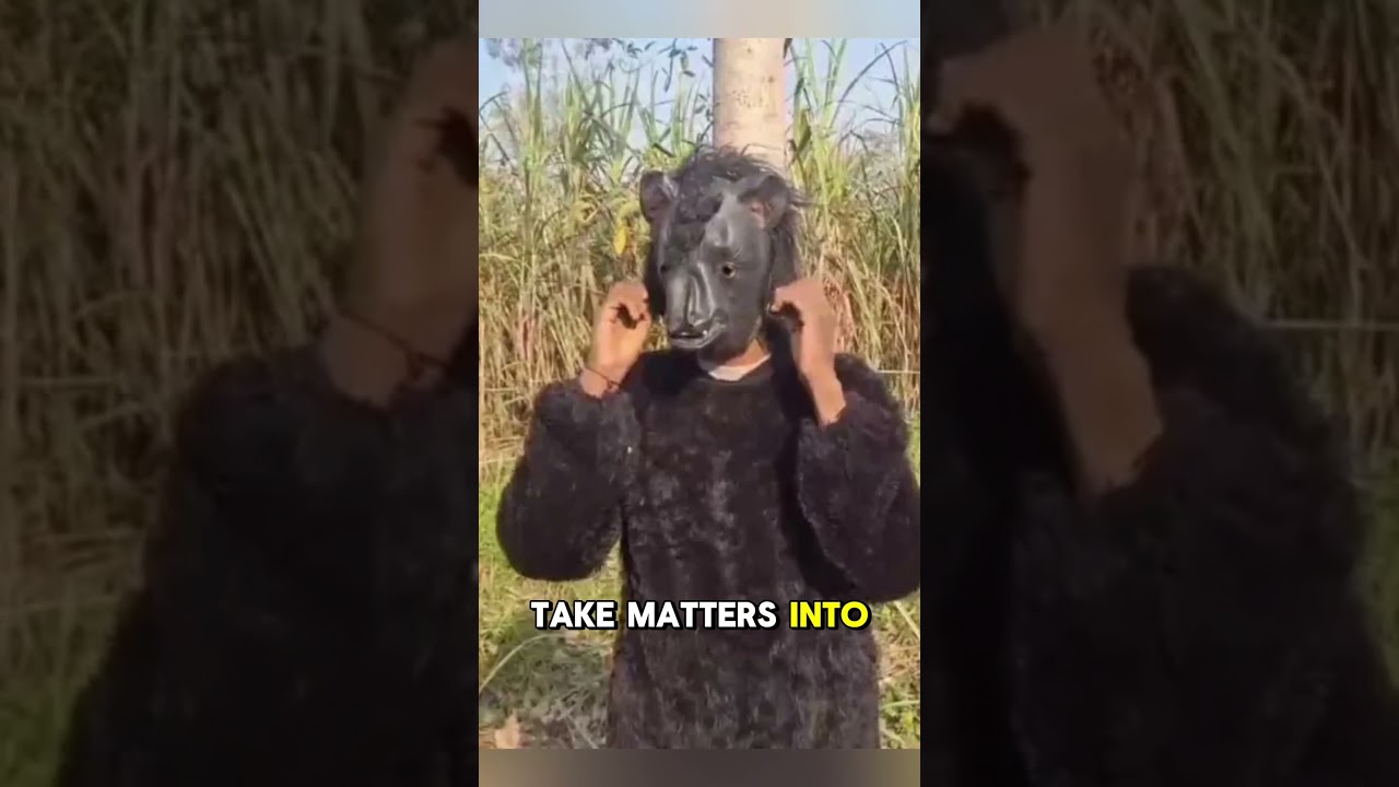 Desperate Indian Farmers Use Bear Costumes to Save Crops! 