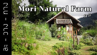 EP.22 ขี่มอเตอร์ไซค์ไปปล่อยใจที่ Mori Natural Farm เชียงใหม่