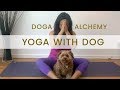 Yoga with Dog | Welcome to DOGA ALCHEMY Yoga with Dog | Welcome to DOGA ALCHEMY