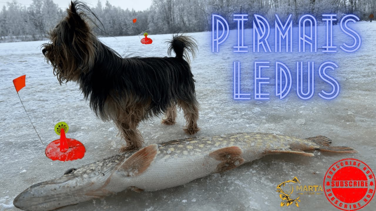 PIRMAIS LEDUS 23/24 | VAIRĀK KĀ 30 COPES UZ ŪDĀM | ZEMLEDUS MAKŠĶERĒŠANA