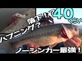 バス釣り中のハプニング！？釣れたし結果オーライ