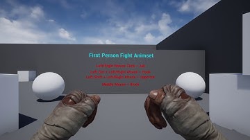 First Person Brawler UE4 animation Pack
