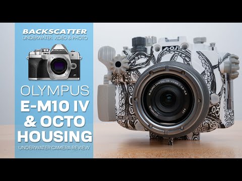 Olympus E-M10 IV and Backscatter Octo Housing | Underwater Camera Review #underwaterphotography