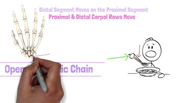 Wrist Kinesiology & Biomechanics