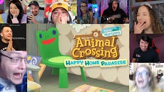 The Internet Loves Animal Crossing Direct DLC