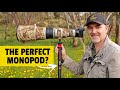 Monopod for WILDLIFE Photography? iFootage Cobra 2 C180 II Field Review.