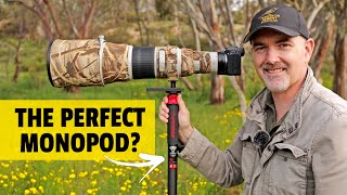 Monopod for WILDLIFE Photography? iFootage Cobra 2 C180 II Field Review.