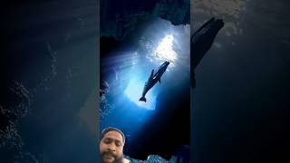 samundar ki Sabse Badi machhali blue whale🐳#shorts #amanzingfacts #youtubeshorts #viralstory #machin