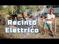 Recinto Elettrificato per Animali con generatore Elettrico Elettrificatore B/12 di Gemi Elettronica