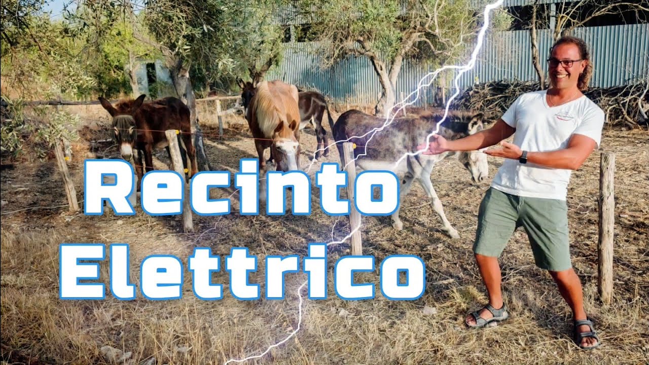 Recinto Elettrificato per Animali con generatore Elettrico Elettrificatore B/12 di Gemi Elettronica