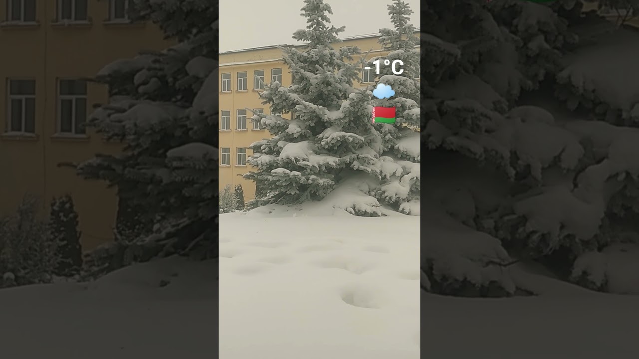 26 января 2026 г. 