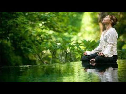Video Xã hội đương đại có còn biết đến ''nghỉ ngơi thực sự''... - youtube