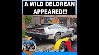 The DeLorean Project that Wasn't Meant to Be #shorts