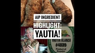 AIP Ingredient highlight Yautia