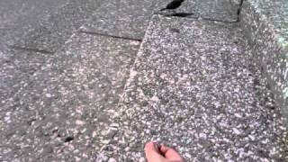 hand feeding bird