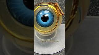Visual Signals Stimulator For Blindness The Bionic Eye