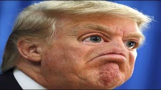 Funny Memes Compilation V17