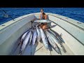 ABSOLUTELY INSANE WAHOO ACTION! Catch Clean & Cook! Fishing Key West, Florida