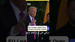 Zelensky Confronts Trump Amid EU Rift on Frozen Russian Funds