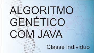 Algoritmo Genético - Classe Individuo