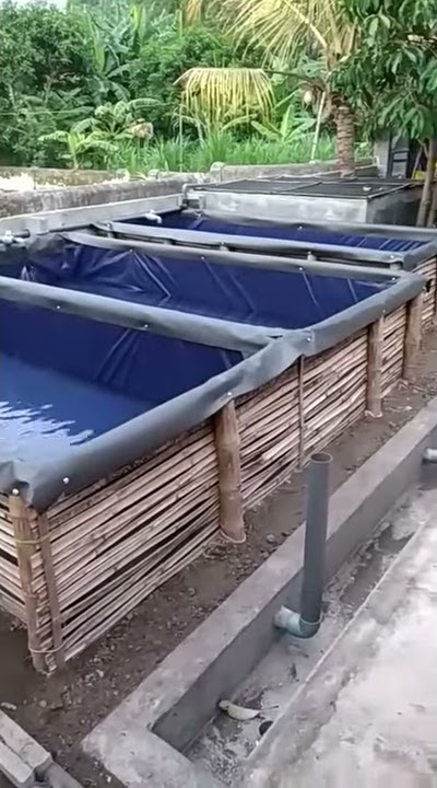 Pemasangan kolam terpal bak persegi menggunakan rangka bambu .