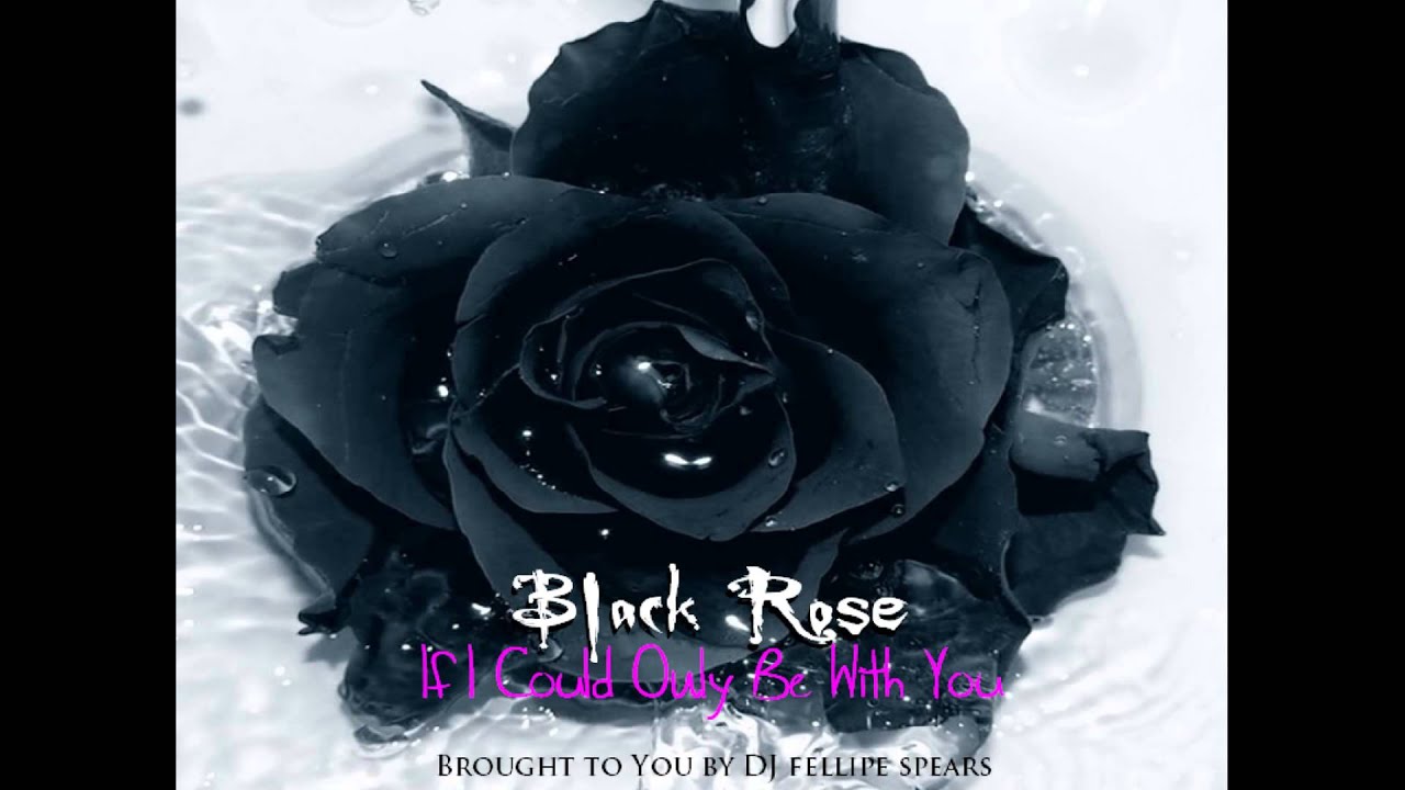 maxresdefault.jpg?sqp=-