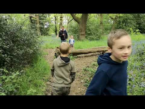 Our family walk through Gawthorpe fields