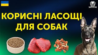 🇺🇦ЯКА ЗАРПЛАТНЯ У СОБАКИ?