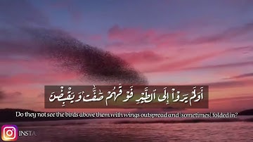اولم يروا الى الطير فوقهم صافات و يقبضن /ماهر المعيقلي /سورة الملك